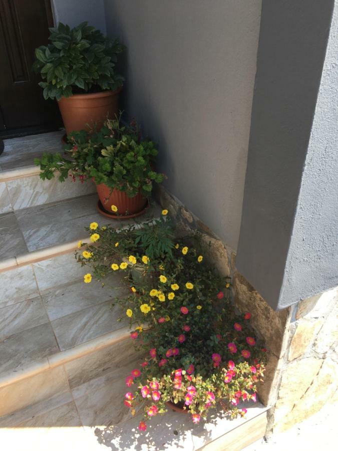 Apartmani Miljana Bar Kültér fotó